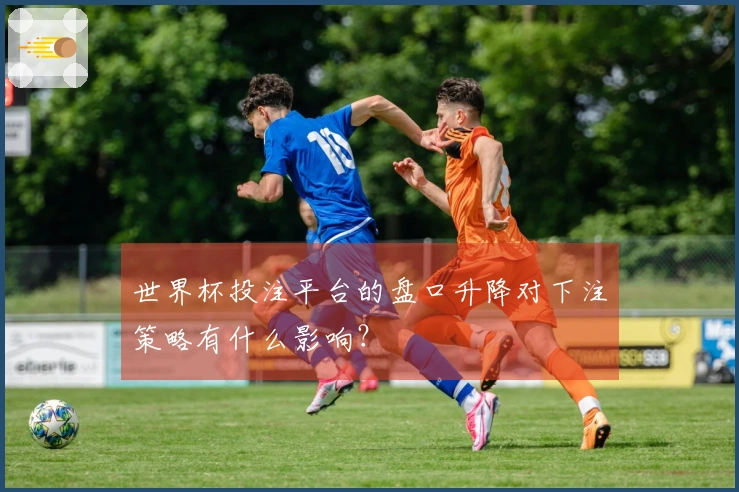 世界杯投注平台的盘口升降对下注策略有什么影响？
