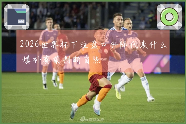 2026世界杯下注盘口升降代表什么 填补赛前判断盲点