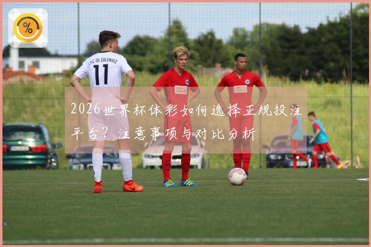 2026世界杯体彩如何选择正规投注平台？注意事项与对比分析