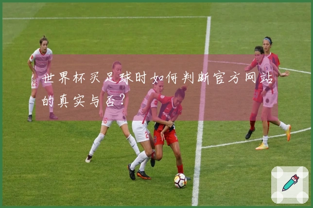 世界杯买足球时如何判断官方网站的真实与否？
