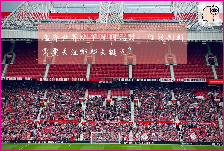 选择世界杯下注网站时，临场判断需要关注哪些关键点？