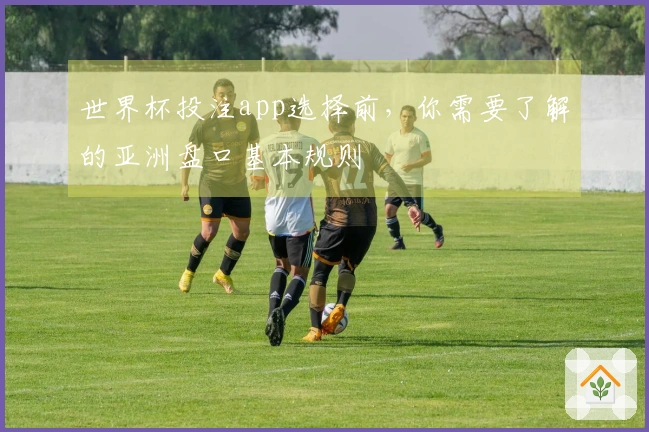 世界杯投注app选择前，你需要了解的亚洲盘口基本规则