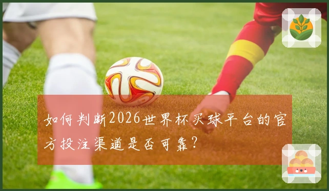 如何判断2026世界杯买球平台的官方投注渠道是否可靠？