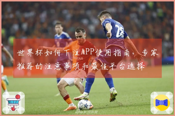 世界杯如何下注APP使用指南，专家推荐的注意事项和最佳平台选择