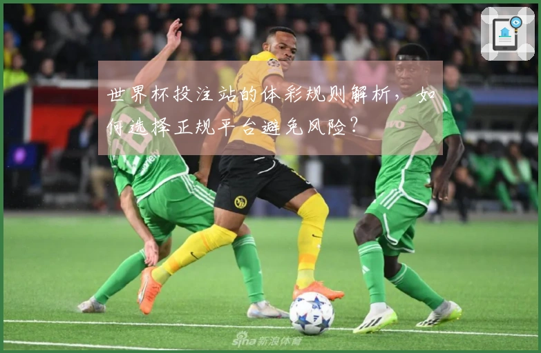 世界杯投注站的体彩规则解析，如何选择正规平台避免风险？