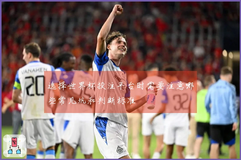 选择世界杯投注平台时需要注意哪些常见坑和判断标准