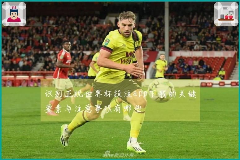 识别正规世界杯投注app下载的关键要素与注意事项有哪些