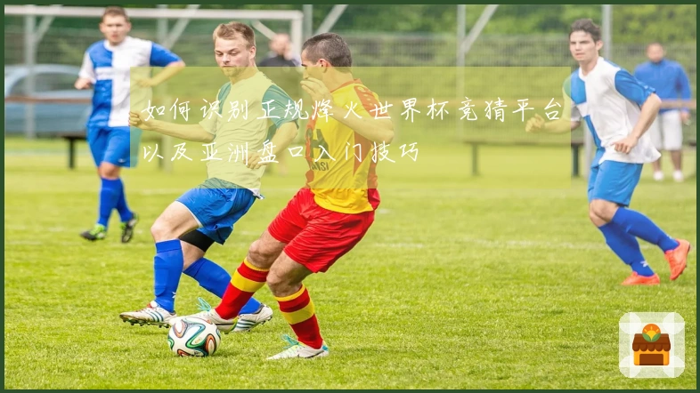 如何识别正规烽火世界杯竞猜平台以及亚洲盘口入门技巧