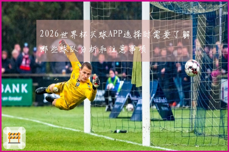 2026世界杯买球APP选择时需要了解哪些球队分析和注意事项