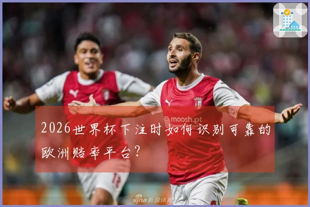2026世界杯下注时如何识别可靠的欧洲赔率平台？