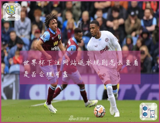 世界杯下注网站返水规则怎么查看是否合理可靠