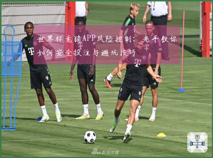 世界杯竞猜APP风险控制：老手教你如何安全投注与避坑技巧