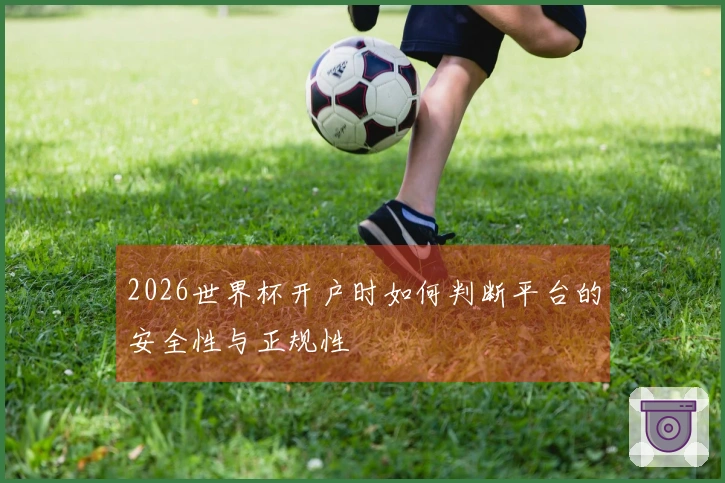 2026世界杯开户时如何判断平台的安全性与正规性