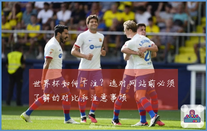 世界杯如何下注？选对网站前必须了解的对比和注意事项