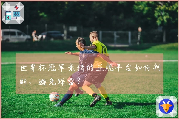 世界杯冠军竞猜的正规平台如何判断，避免踩雷？
