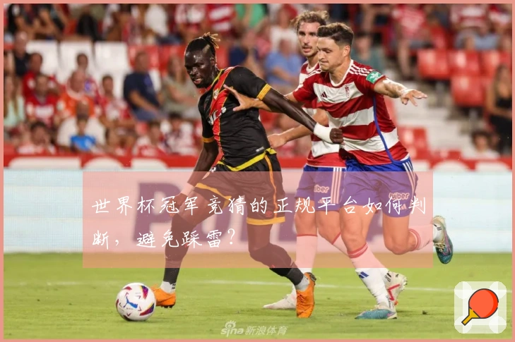世界杯冠军竞猜的正规平台如何判断，避免踩雷？