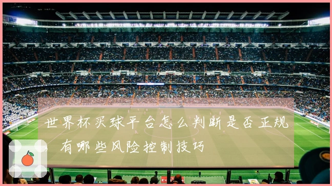 世界杯买球平台怎么判断是否正规，有哪些风险控制技巧