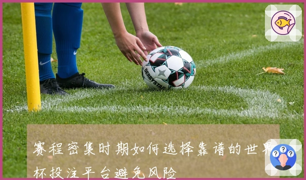 赛程密集时期如何选择靠谱的世界杯投注平台避免风险