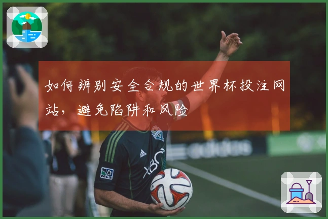如何辨别安全合规的世界杯投注网站，避免陷阱和风险