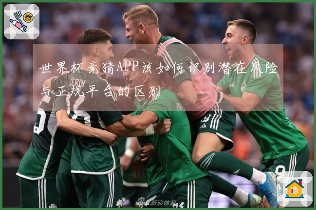 世界杯竞猜APP该如何识别潜在风险与正规平台的区别