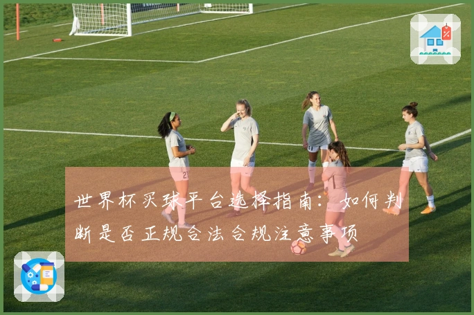 世界杯买球平台选择指南：如何判断是否正规合法合规注意事项