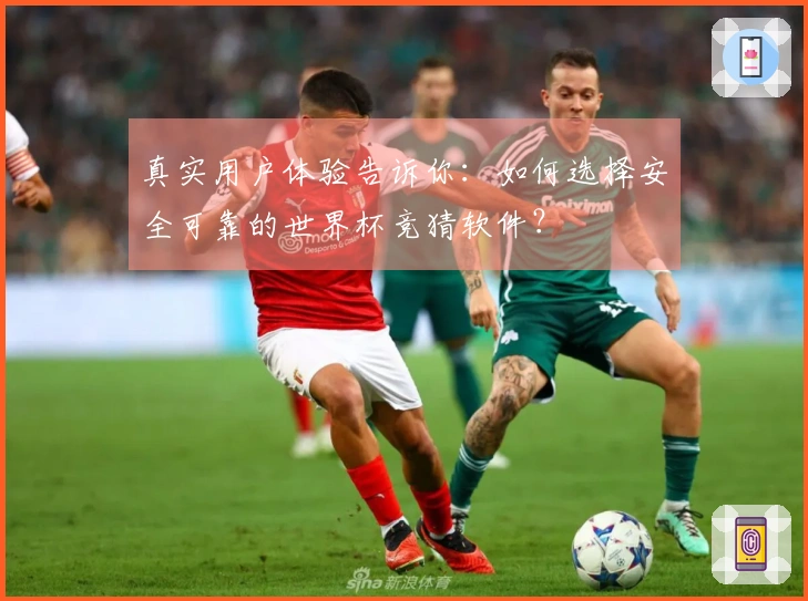 真实用户体验告诉你：如何选择安全可靠的世界杯竞猜软件？