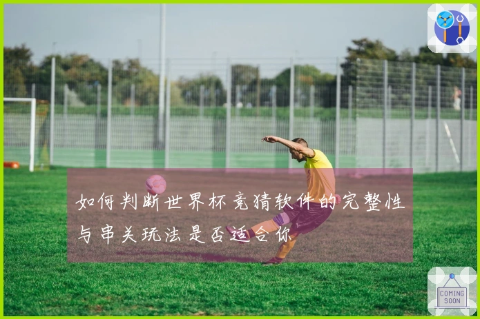 如何判断世界杯竞猜软件的完整性与串关玩法是否适合你