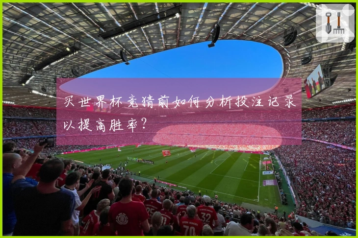 买世界杯竞猜前如何分析投注记录以提高胜率？
