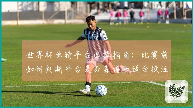 世界杯竞猜平台选择指南：比赛前如何判断平台是否靠谱和适合投注