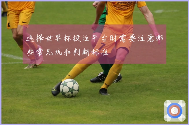 选择世界杯投注平台时需要注意哪些常见坑和判断标准