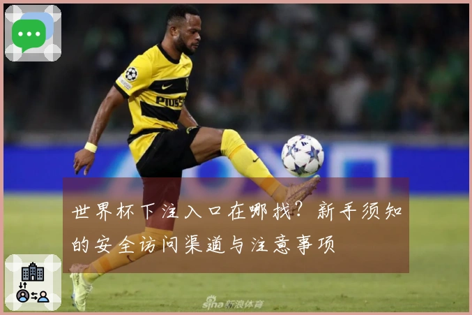 世界杯下注入口在哪找？新手须知的安全访问渠道与注意事项