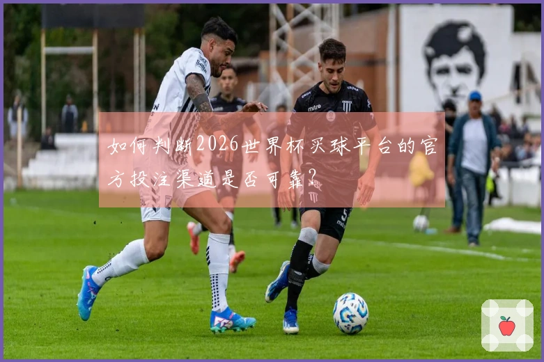 如何判断2026世界杯买球平台的官方投注渠道是否可靠？
